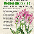 Шалфей Мускатный Вознесенский 24