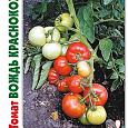 Томат (Помидор) обыкновенный Вождь Краснокожих F1